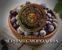 Табак WTO - Caribbean Blend (Чёрная смородина) 20 гр