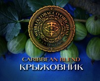 Табак WTO - Caribbean Blend (Крыжовник) 20 гр